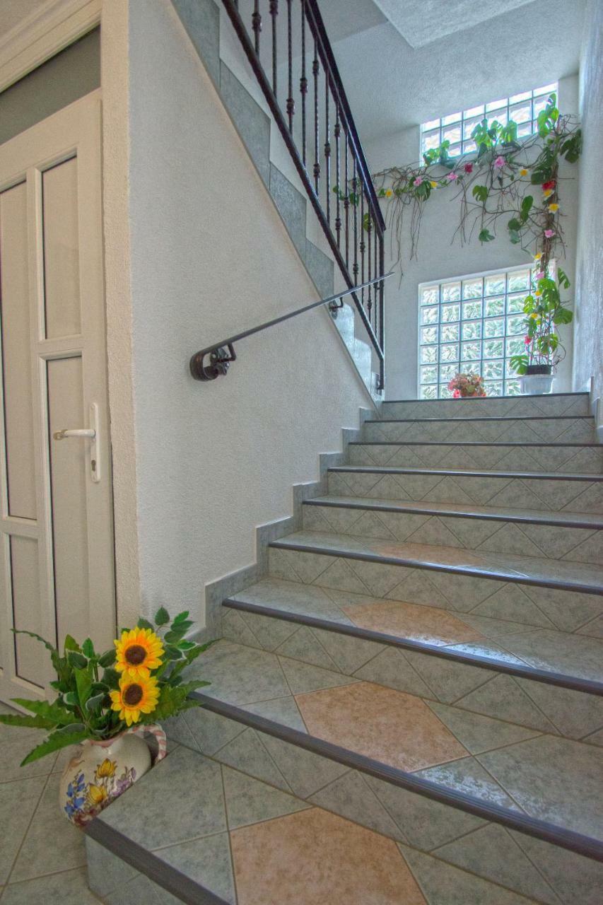 Apartment Blazic 자드라보노 외부 사진